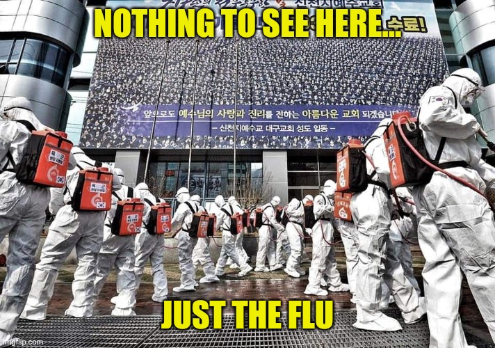 Virus | NOTHING TO SEE HERE... JUST THE FLU | image tagged in virus | made w/ Imgflip meme maker