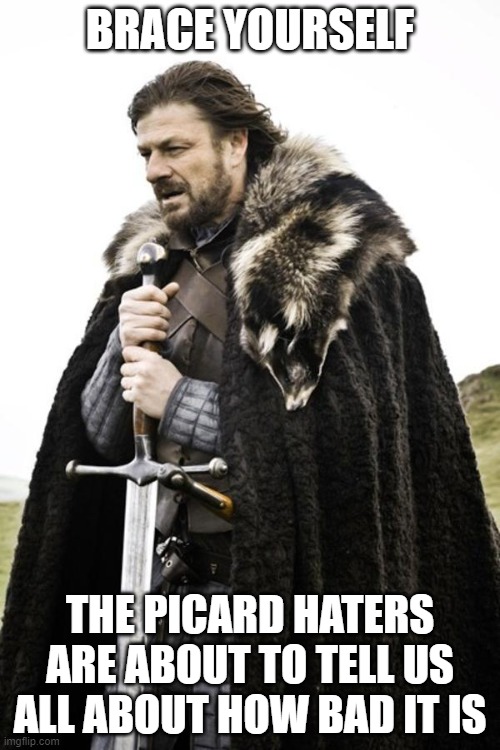 Ned Stark | BRACE YOURSELF; THE PICARD HATERS ARE ABOUT TO TELL US ALL ABOUT HOW BAD IT IS | image tagged in ned stark | made w/ Imgflip meme maker