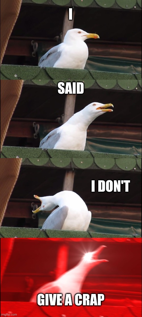 Inhaling Seagull Meme | I; SAID; I DON'T; GIVE A CRAP | image tagged in memes,inhaling seagull | made w/ Imgflip meme maker