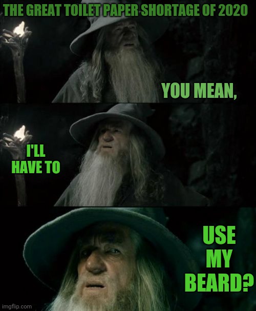 Panic Buying Virus 3 | THE GREAT TOILET PAPER SHORTAGE OF 2020; YOU MEAN, I'LL HAVE TO; USE MY BEARD? | image tagged in memes,confused gandalf,corona virus,panic | made w/ Imgflip meme maker