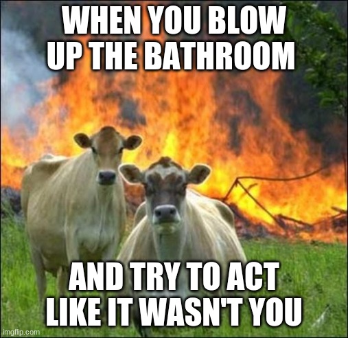 Evil Cows Meme | WHEN YOU BLOW UP THE BATHROOM; AND TRY TO ACT LIKE IT WASN'T YOU | image tagged in memes,evil cows | made w/ Imgflip meme maker
