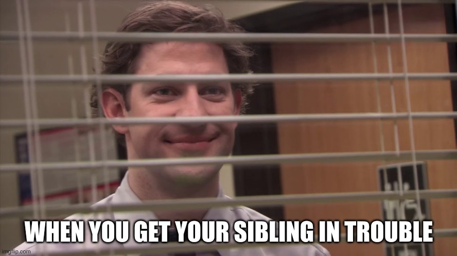 WHEN YOU GET YOUR SIBLING IN TROUBLE | image tagged in jim office blinds,jim halpert | made w/ Imgflip meme maker