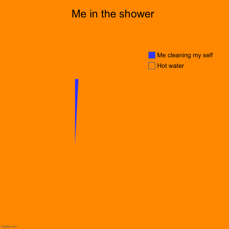 Me in the shower | Hot water, Me cleaning my self | image tagged in charts,pie charts | made w/ Imgflip chart maker