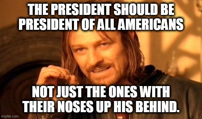 One Does Not Simply Meme | THE PRESIDENT SHOULD BE PRESIDENT OF ALL AMERICANS NOT JUST THE ONES WITH THEIR NOSES UP HIS BEHIND. | image tagged in memes,one does not simply | made w/ Imgflip meme maker