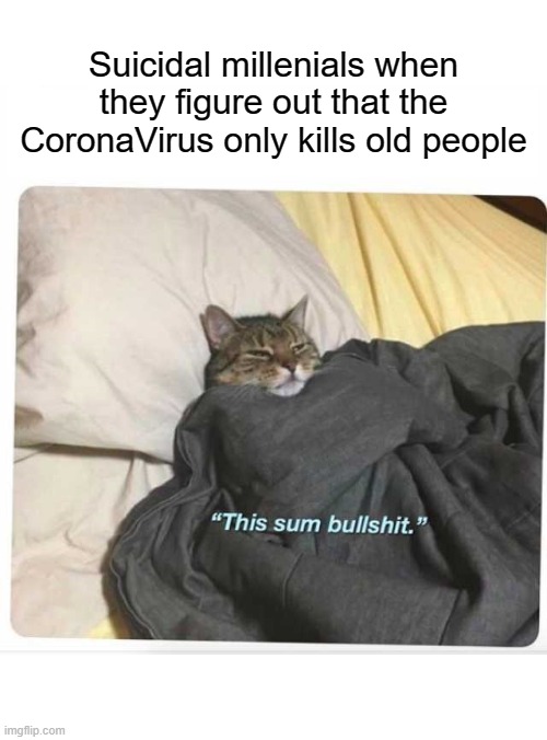 Boomers | Suicidal millenials when they figure out that the CoronaVirus only kills old people | image tagged in this sum bullshit cat,cats,funny,memes,bullshit,millennials | made w/ Imgflip meme maker