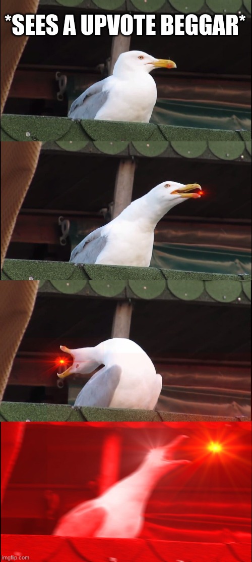 Inhaling Seagull Meme | *SEES A UPVOTE BEGGAR* | image tagged in memes,inhaling seagull | made w/ Imgflip meme maker