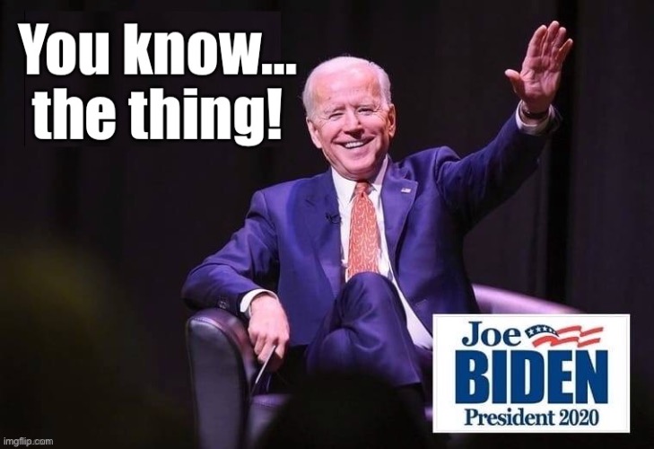 You know... the thing! | image tagged in joe biden,gaffe | made w/ Imgflip meme maker