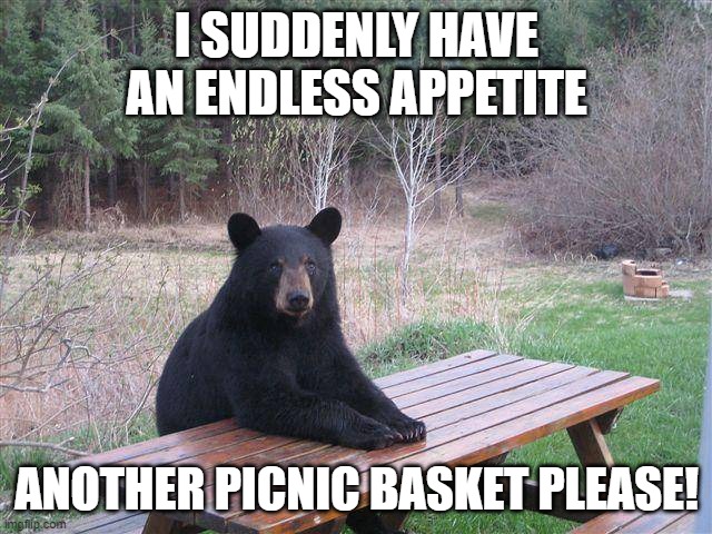 Bear at Picnic Table | I SUDDENLY HAVE AN ENDLESS APPETITE; ANOTHER PICNIC BASKET PLEASE! | image tagged in bear at picnic table | made w/ Imgflip meme maker