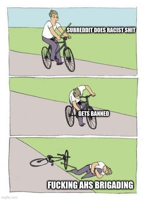 Bike Fall Meme | SUBREDDIT DOES RACIST SHIT; GETS BANNED; FUCKING AHS BRIGADING | image tagged in bicycle | made w/ Imgflip meme maker