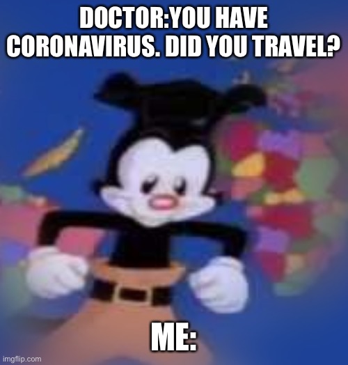 YAKKO | DOCTOR:YOU HAVE CORONAVIRUS. DID YOU TRAVEL? ME: | image tagged in yakko | made w/ Imgflip meme maker