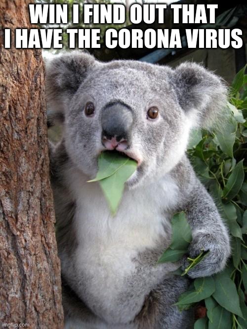 Surprised Koala | WIN I FIND OUT THAT I HAVE THE CORONA VIRUS | image tagged in memes,surprised koala | made w/ Imgflip meme maker
