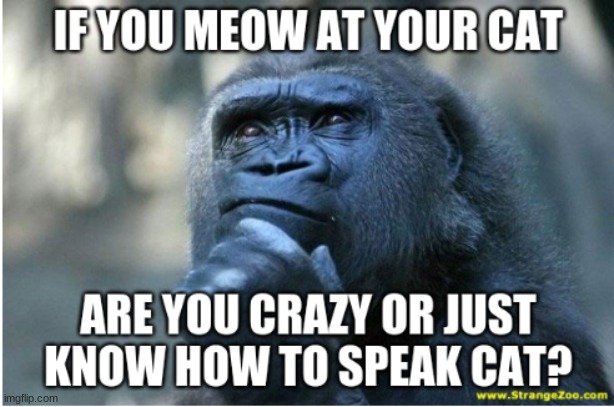 deep thoughts | image tagged in deep thoughts | made w/ Imgflip meme maker