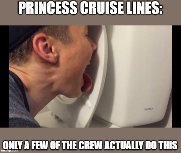 PRINCESS CRUISE LINES:; ONLY A FEW OF THE CREW ACTUALLY DO THIS | image tagged in coronavirus | made w/ Imgflip meme maker