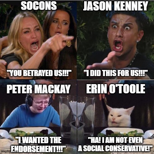 Four panel Taylor Armstrong Pauly D CallmeCarson Cat | SOCONS; JASON KENNEY; "I DID THIS FOR US!!!"; "YOU BETRAYED US!!!"; ERIN O'TOOLE; PETER MACKAY; "HA! I AM NOT EVEN A SOCIAL CONSERVATIVE!"; "I WANTED THE ENDORSEMENT!!!" | image tagged in four panel taylor armstrong pauly d callmecarson cat | made w/ Imgflip meme maker