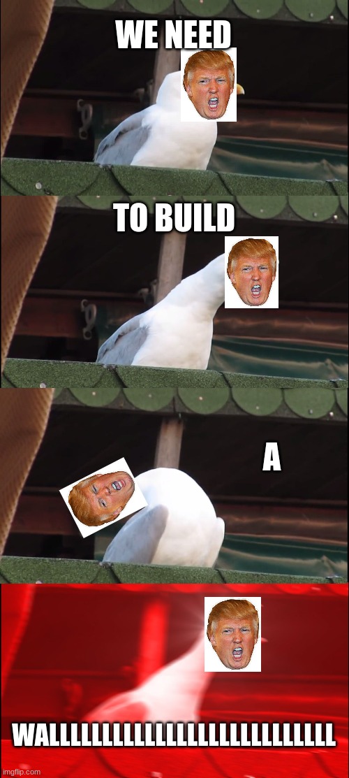 We need to build a wall | WE NEED; TO BUILD; A; WALLLLLLLLLLLLLLLLLLLLLLLLLLL | image tagged in memes,inhaling seagull | made w/ Imgflip meme maker