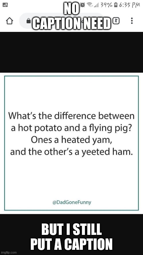 NO CAPTION NEED; BUT I STILL PUT A CAPTION | image tagged in funny memes | made w/ Imgflip meme maker