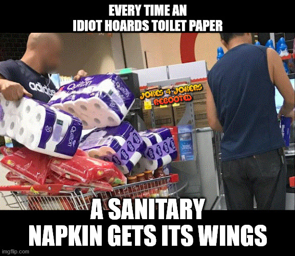 Paper | EVERY TIME AN IDIOT HOARDS TOILET PAPER; A SANITARY NAPKIN GETS ITS WINGS | image tagged in funny memes,jokes,laughing men in suits,lol so funny | made w/ Imgflip meme maker