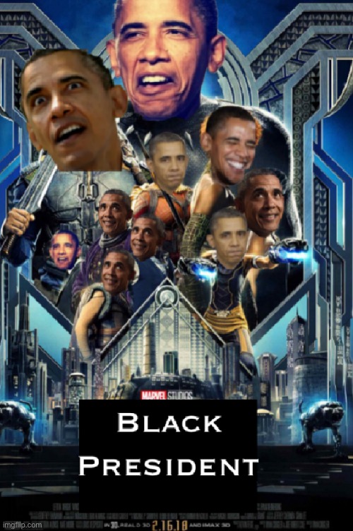 Black President | image tagged in blackpanther,parody | made w/ Imgflip meme maker