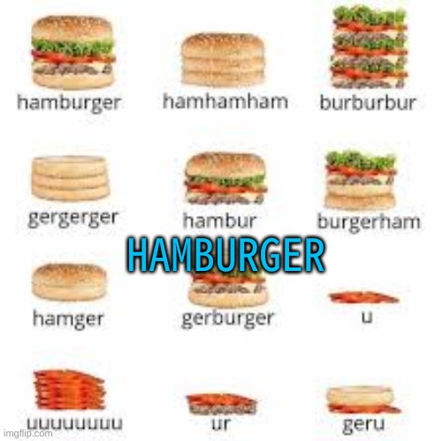 Hamburger | HAMBURGER | image tagged in hamburger | made w/ Imgflip meme maker