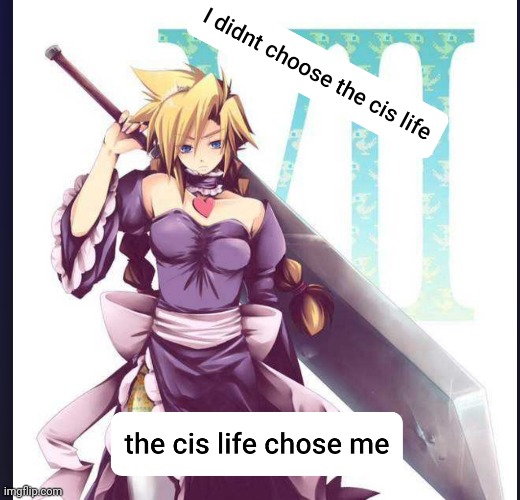 Final Fantasy 7 | image tagged in final fantasy 7,cloud strife,gaming,gender identity | made w/ Imgflip meme maker