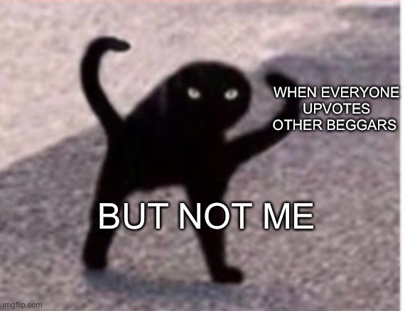 Dood | WHEN EVERYONE UPVOTES OTHER BEGGARS; BUT NOT ME | image tagged in cats | made w/ Imgflip meme maker