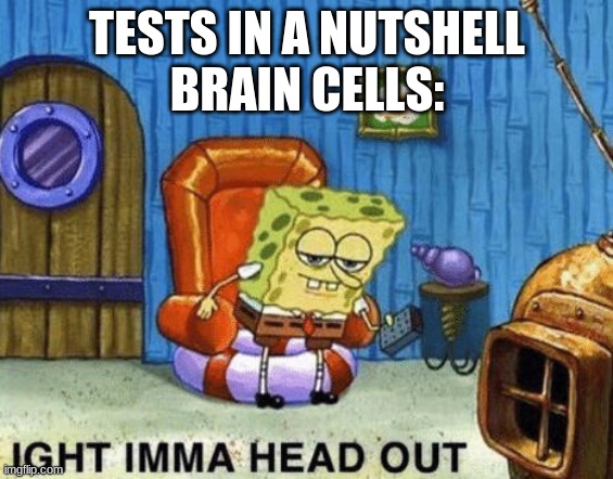 Ight imma head out | TESTS IN A NUTSHELL
BRAIN CELLS: | image tagged in ight imma head out | made w/ Imgflip meme maker