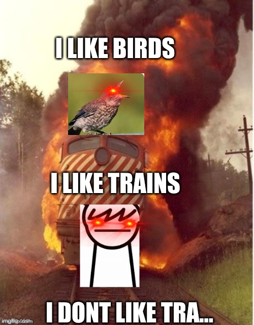 i like birds and trains boi | I LIKE BIRDS; I LIKE TRAINS; I DONT LIKE TRA... | image tagged in i like trains | made w/ Imgflip meme maker