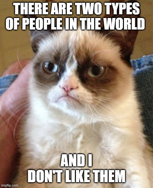 Grumpy Cat Meme | THERE ARE TWO TYPES OF PEOPLE IN THE WORLD; AND I DON'T LIKE THEM | image tagged in memes,grumpy cat | made w/ Imgflip meme maker