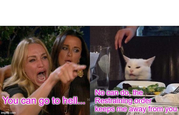 Woman Yelling At Cat Meme | No can do, the Restraining order keeps me away from you; You can go to hell... | image tagged in memes,woman yelling at cat | made w/ Imgflip meme maker