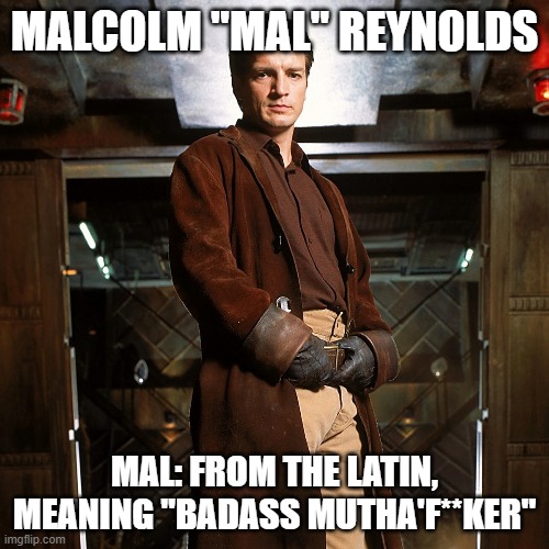 Malcolm Reynolds Standing Tall | MALCOLM "MAL" REYNOLDS; MAL: FROM THE LATIN, MEANING "BADASS MUTHA'F**KER" | image tagged in malcolm reynolds standing tall | made w/ Imgflip meme maker