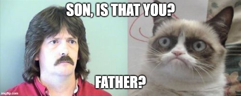 Grumpy Cat's Father | SON, IS THAT YOU? FATHER? | image tagged in memes,grumpy cats father,grumpy cat | made w/ Imgflip meme maker
