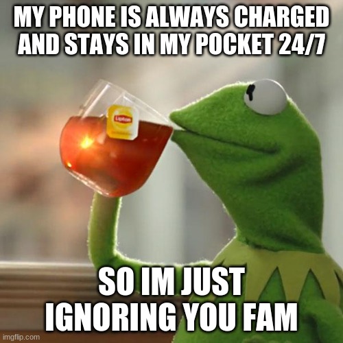 But That's None Of My Business Meme | MY PHONE IS ALWAYS CHARGED AND STAYS IN MY POCKET 24/7; SO IM JUST IGNORING YOU FAM | image tagged in memes,but thats none of my business,kermit the frog | made w/ Imgflip meme maker