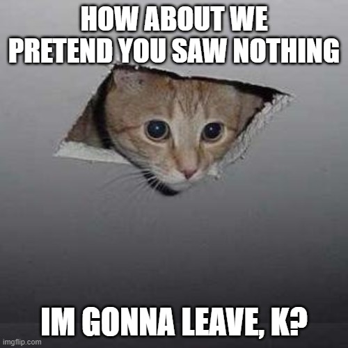 Ceiling Cat Meme | HOW ABOUT WE PRETEND YOU SAW NOTHING; IM GONNA LEAVE, K? | image tagged in memes,ceiling cat | made w/ Imgflip meme maker