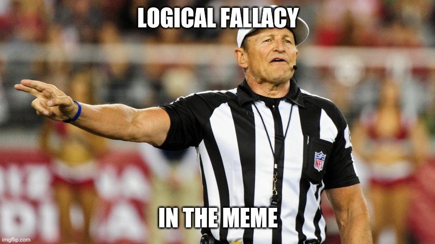 Logical Fallacy Referee | LOGICAL FALLACY IN THE MEME | image tagged in logical fallacy referee | made w/ Imgflip meme maker