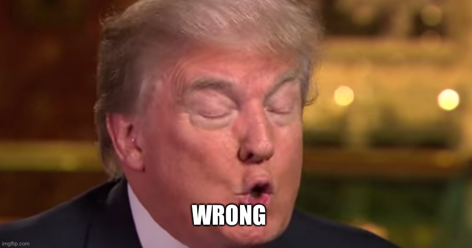 Trump "wrong" meme | WRONG | image tagged in trump wrong meme | made w/ Imgflip meme maker