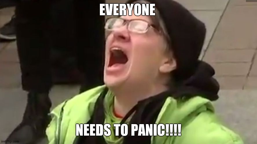 Screaming Liberal  | EVERYONE NEEDS TO PANIC!!!! | image tagged in screaming liberal | made w/ Imgflip meme maker