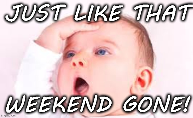The weekend gone baby! | JUST LIKE THAT; WEEKEND GONE! | image tagged in cute,funny memes | made w/ Imgflip meme maker
