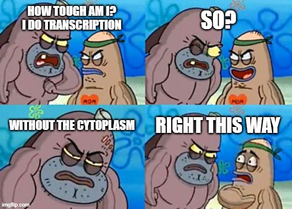 How Tough Are You | SO? HOW TOUGH AM I?
I DO TRANSCRIPTION; WITHOUT THE CYTOPLASM; RIGHT THIS WAY | image tagged in memes,how tough are you | made w/ Imgflip meme maker