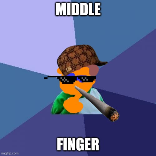 Success Kid | MIDDLE; FINGER | image tagged in memes,success kid | made w/ Imgflip meme maker