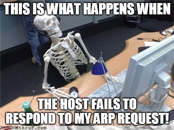 Waiting skeleton | THIS IS WHAT HAPPENS WHEN; THE HOST FAILS TO RESPOND TO MY ARP REQUEST! | image tagged in waiting skeleton | made w/ Imgflip meme maker