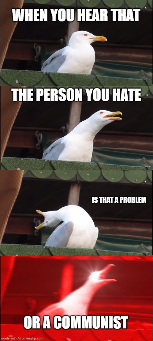 Inhaling Seagull | WHEN YOU HEAR THAT; THE PERSON YOU HATE; IS THAT A PROBLEM; OR A COMMUNIST | image tagged in memes,inhaling seagull | made w/ Imgflip meme maker