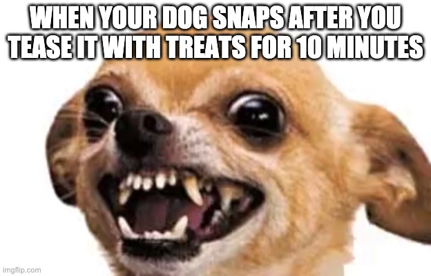 WHEN YOUR DOG SNAPS AFTER YOU TEASE IT WITH TREATS FOR 10 MINUTES | image tagged in one does not simply | made w/ Imgflip meme maker
