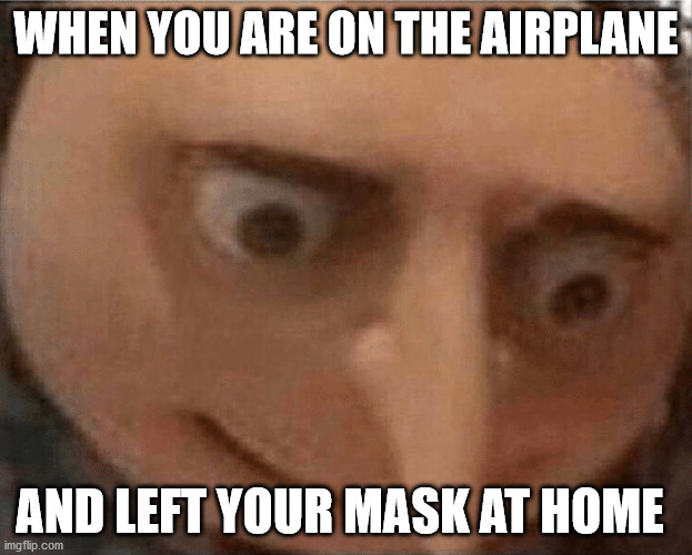 Airplanes | WHEN YOU ARE ON THE AIRPLANE; AND LEFT YOUR MASK AT HOME | image tagged in uh oh gru,mask,coronavirus,airplane | made w/ Imgflip meme maker