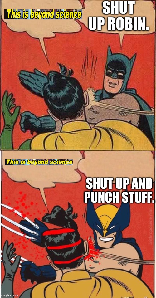 SHUT UP ROBIN. SHUT UP AND PUNCH STUFF. | image tagged in memes,batman slapping robin,wolverines kills robin | made w/ Imgflip meme maker