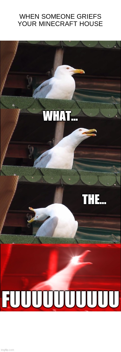 Inhaling Seagull Meme | WHEN SOMEONE GRIEFS YOUR MINECRAFT HOUSE; WHAT... THE... FUUUUUUUUUU | image tagged in memes,inhaling seagull | made w/ Imgflip meme maker