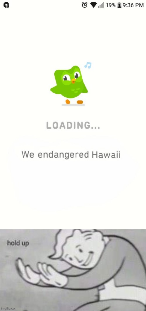 Oh no I live in Hawaii | image tagged in fallout hold up | made w/ Imgflip meme maker