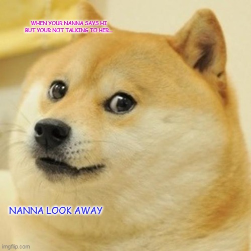Doge Meme | WHEN YOUR NANNA SAYS HI BUT YOUR NOT TALKING TO HER... NANNA LOOK AWAY | image tagged in memes,doge | made w/ Imgflip meme maker