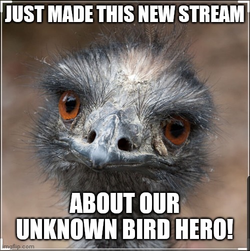 JUST MADE THIS NEW STREAM; ABOUT OUR UNKNOWN BIRD HERO! | made w/ Imgflip meme maker