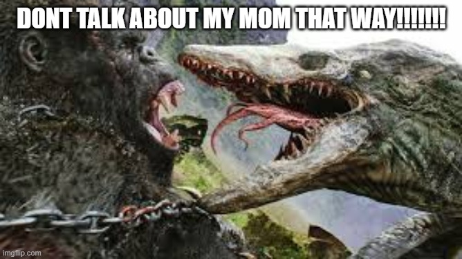 DONT TALK ABOUT MY MOM THAT WAY!!!!!!! | image tagged in king kong | made w/ Imgflip meme maker