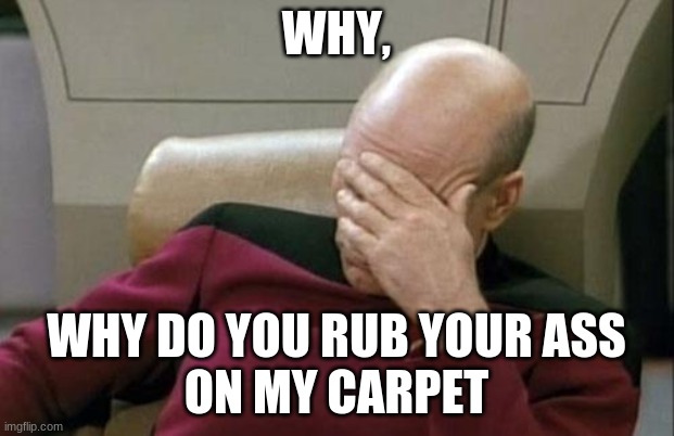 Captain Picard Facepalm Meme | WHY, WHY DO YOU RUB YOUR ASS
ON MY CARPET | image tagged in memes,captain picard facepalm | made w/ Imgflip meme maker